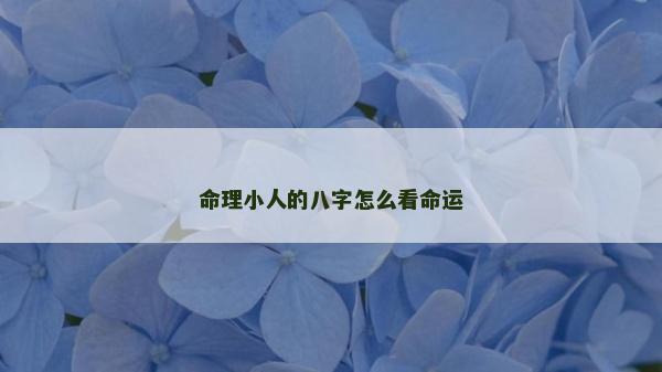 命理小人的八字怎么看命運