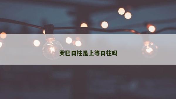 癸巳日柱是上等日柱嗎
