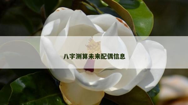 八字測(cè)算未來(lái)配偶信息