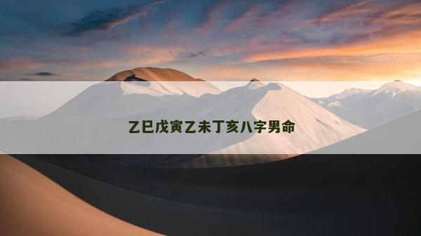 乙巳戊寅乙未丁亥八字男命