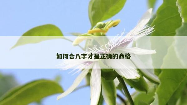 如何合八字才是正確的命格