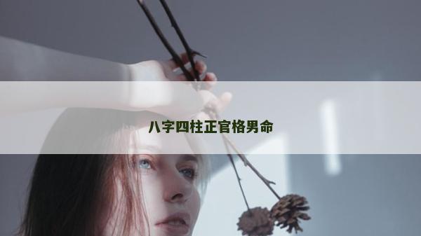 八字四柱正官格男命