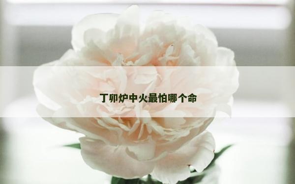 丁卯爐中火最怕哪個(gè)命