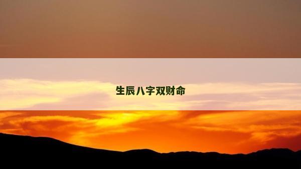 生辰八字雙財命