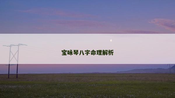 寶詠琴八字命理解析