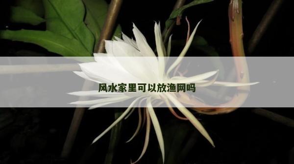 風(fēng)水家里可以放漁網(wǎng)嗎