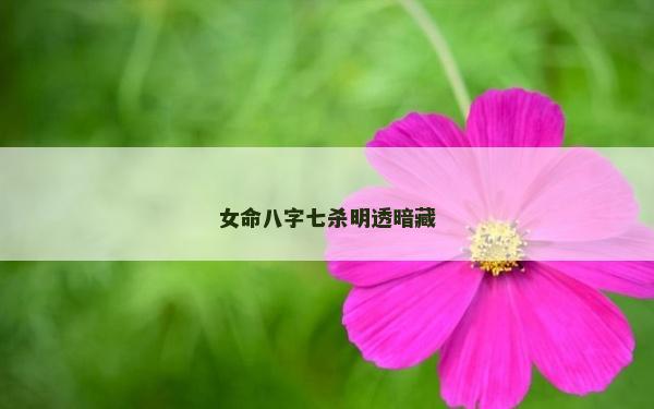 女命八字七殺明透暗藏