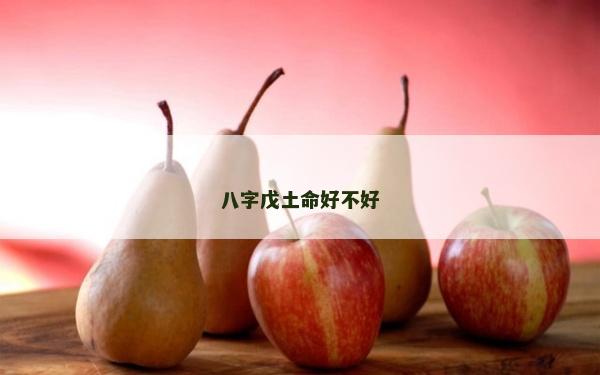 八字戊土命好不好