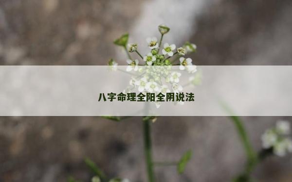 八字命理全陽全陰說法