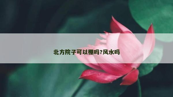 北方院子可以棚嗎?風水嗎