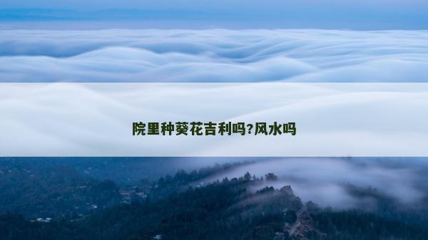 院里種葵花吉利嗎?風水嗎