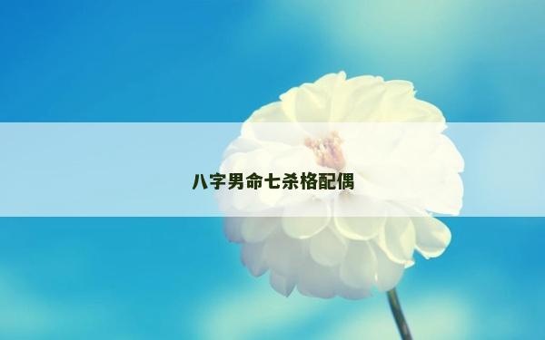 八字男命七殺格配偶