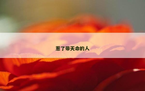 惹了帶天命的人 惹了帶天命的人
