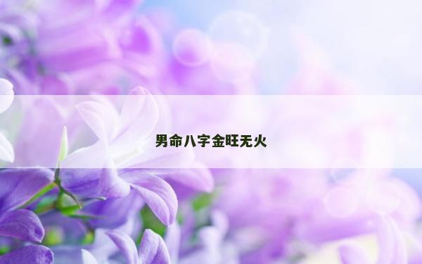 男命八字金旺無火 男命八字金旺無火