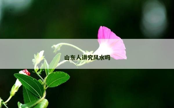 山東人講究風(fēng)水嗎