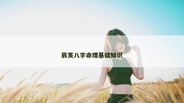 辰亥八字命理基礎(chǔ)知識