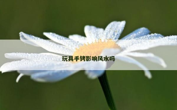 玩具手銬影響風水嗎