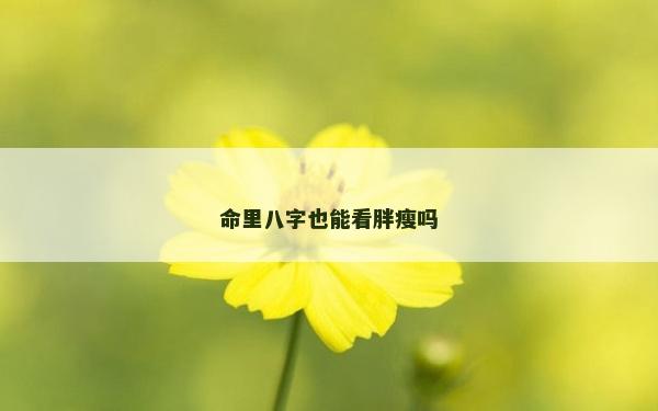 命里八字也能看胖瘦嗎