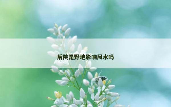 后院是野地影響風(fēng)水嗎