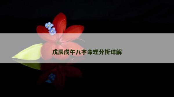 戊辰戊午八字命理分析詳解