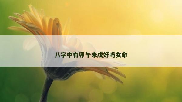 八字中有卯午未戌好嗎女命 八字中有卯午未戌好嗎女命