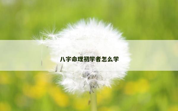 八字命理初學者怎么學