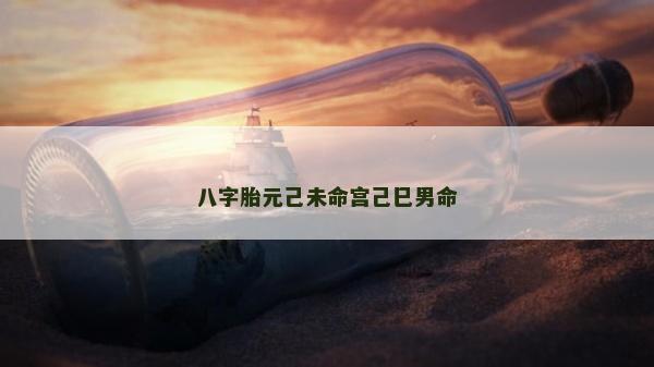 八字胎元己未命宮己巳男命 八字胎元己未命宮己巳男命