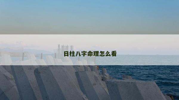 日柱八字命理怎么看 日柱八字命理怎么看