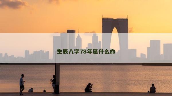 生辰八字78年屬什么命
