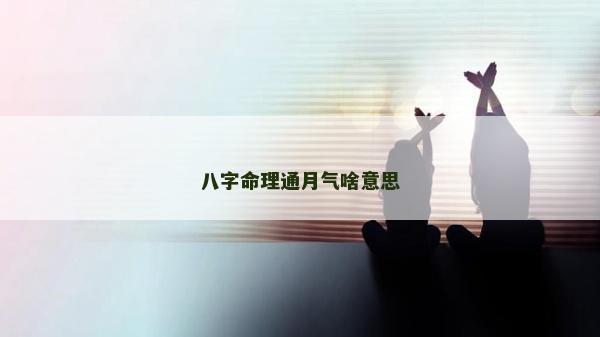 八字命理通月氣啥意思
