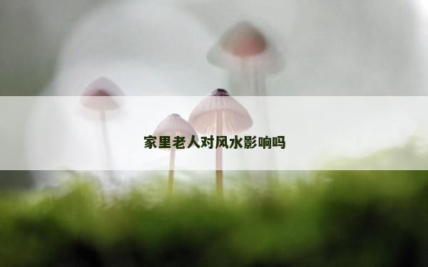 家里老人對風水影響嗎