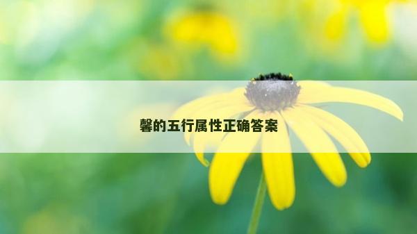 馨的五行屬性正確答案