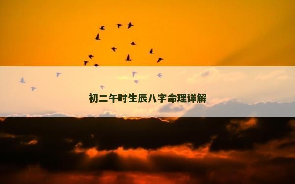 初二午時生辰八字命理詳解 初二午時生辰八字命理詳解