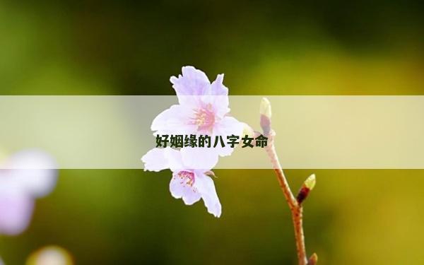 好姻緣的八字女命
