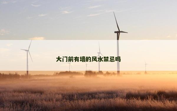 大門前有墻的風水禁忌嗎 大門前有墻的風水禁忌嗎