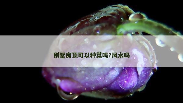 別墅房頂可以種菜嗎?風(fēng)水嗎