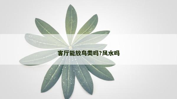 客廳能放鳥類嗎?風(fēng)水嗎
