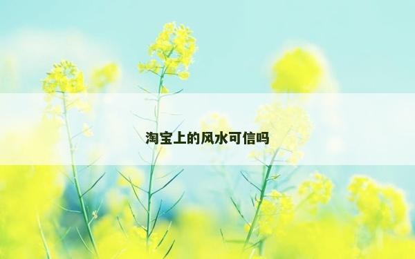 淘寶上的風水可信嗎