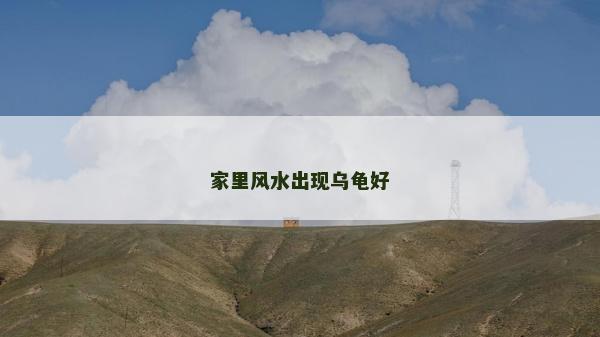 家里風水出現(xiàn)烏龜好