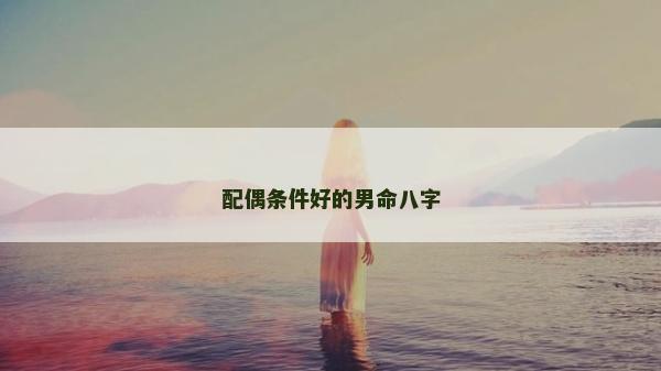 配偶條件好的男命八字