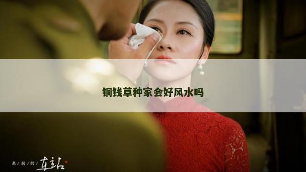 銅錢草種家會好風水嗎