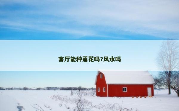 客廳能種蓮花嗎?風水嗎