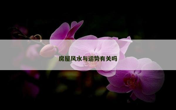 房屋風水與運勢有關嗎