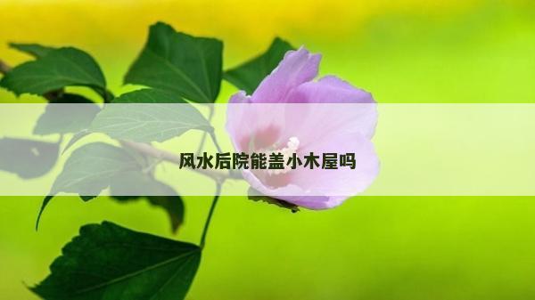 風水后院能蓋小木屋嗎