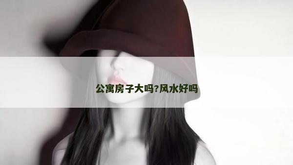 公寓房子大嗎?風(fēng)水好嗎 公寓房子大嗎?風(fēng)水好嗎