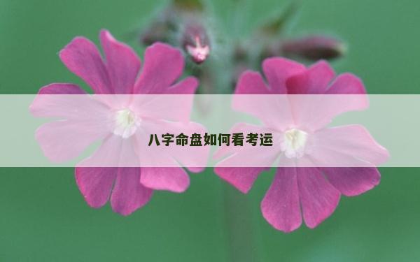 八字命盤如何看考運