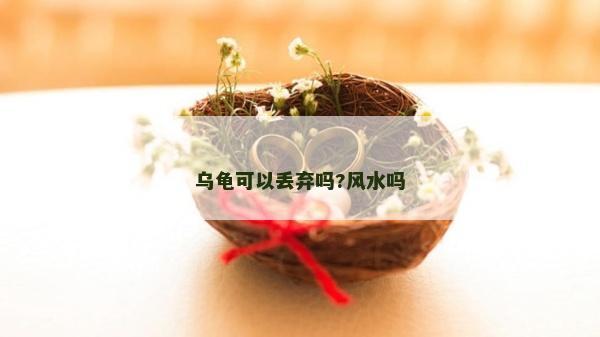 烏龜可以丟棄嗎?風水嗎