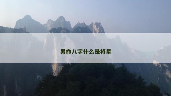 男命八字什么是將星