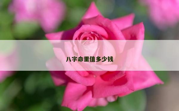 八字命里值多少錢
