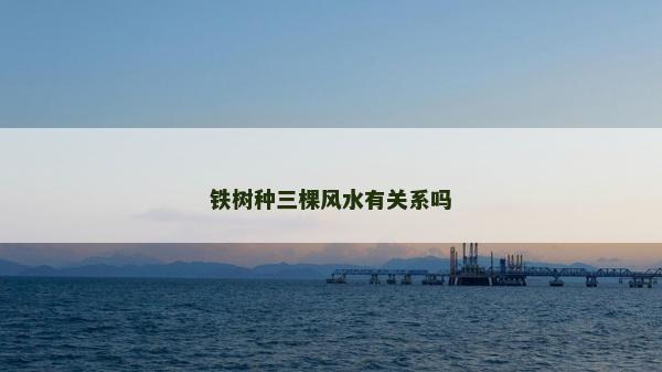 鐵樹種三棵風水有關系嗎